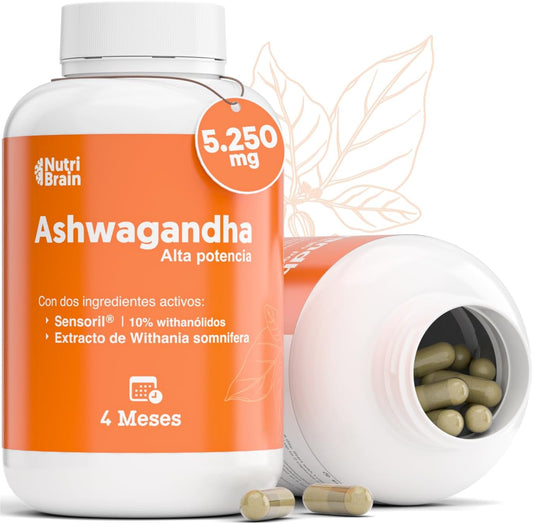 Ashwagandha Alta Potencia Premium de NutriBrain